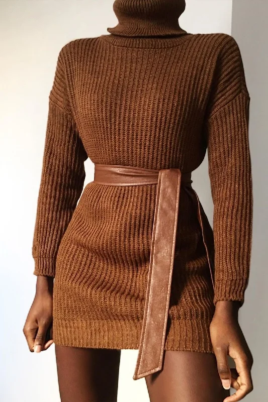 Elevate your look with premium women’s wear Brown Roll Neck Mini Jumper Dress - Dariyana Elevate your look with premium women’s wear Brown Roll Neck Mini Jumper Dress - Dariyana